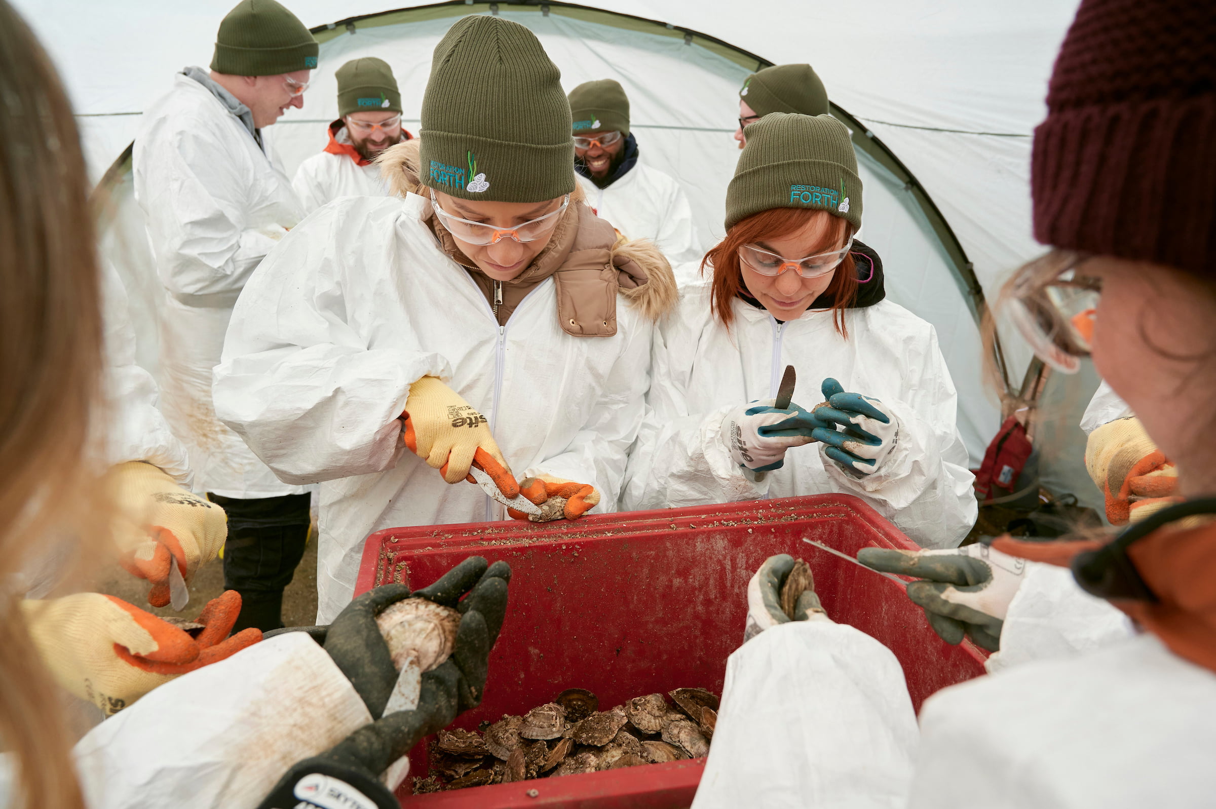 A group of people clean oyster shells using knives. They are all wearing white lab coats, safety glasses, and matching hats that say "Restoration Forth".